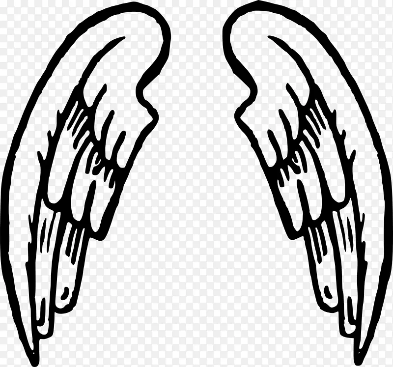 ��ͨ������-���-������