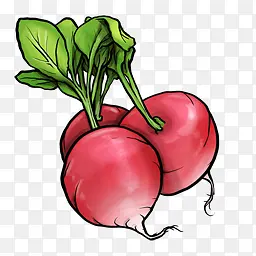 Radish�ܲ��ֻ�-������