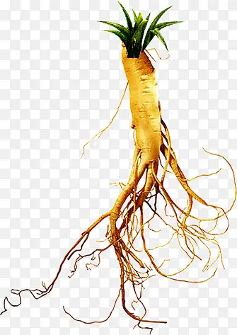 �ݸ��ϵ�С��-������