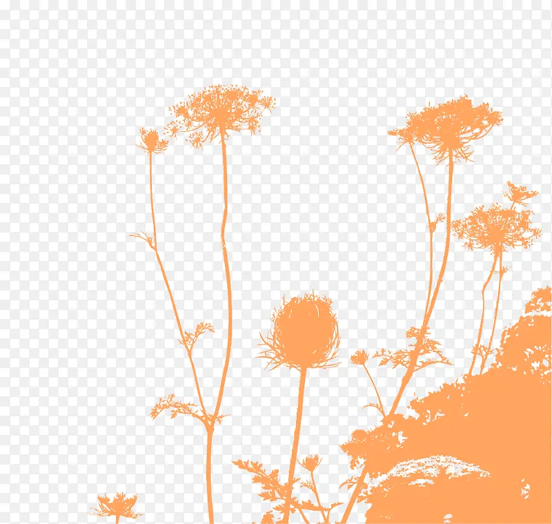 ����С��-������