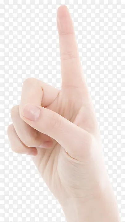 ��ָ����-������