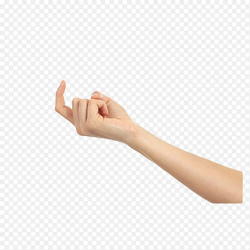 ����ʳָ-������