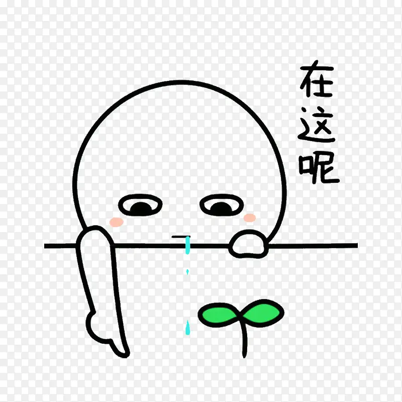 ��ָ��ָ��-������