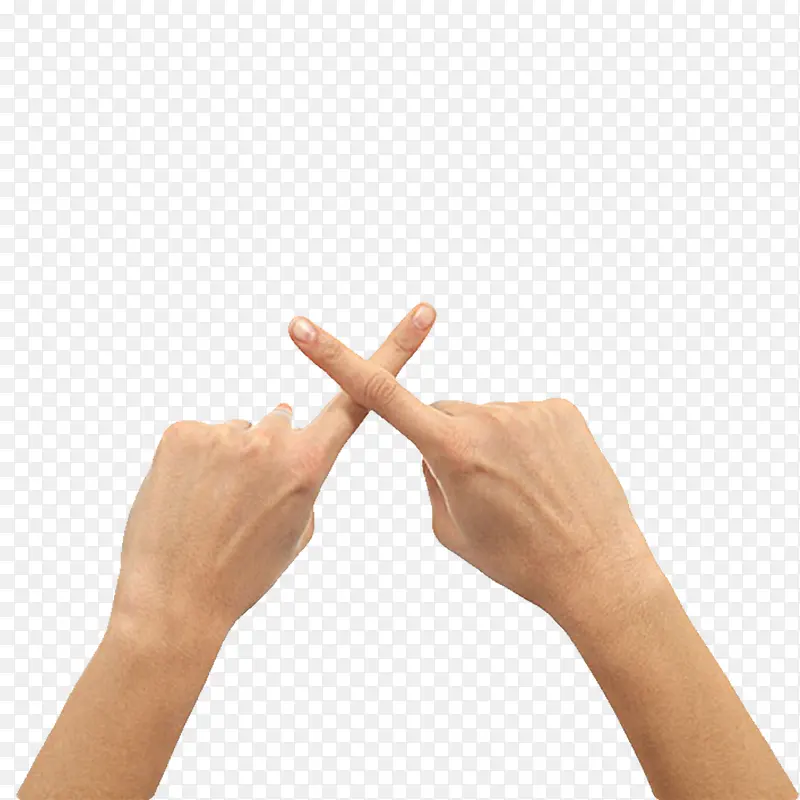 ��ָ�Ȼ�-������