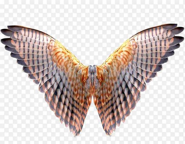 �������-������