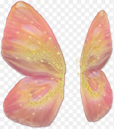 �������-������