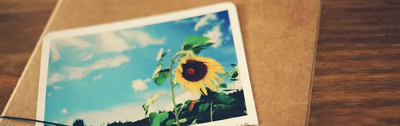 Ψ����Ƭ�е����տ���������-������