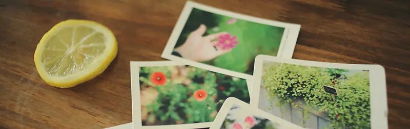 ��ԼΨ����Ƭ��������-������