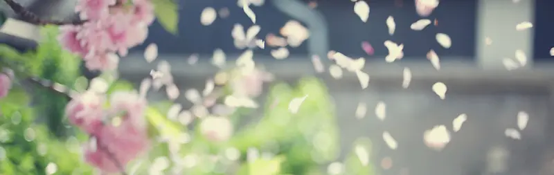 Ψ����ϵ���ʸк�������-������