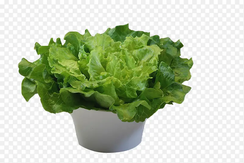 ��ɫ����Ҷ-������