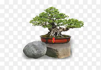 ��-������