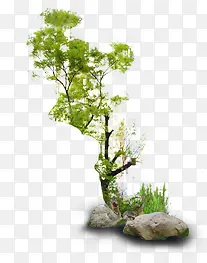 ��-������