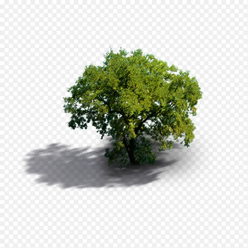 ʵ������Ч��ͼ-������