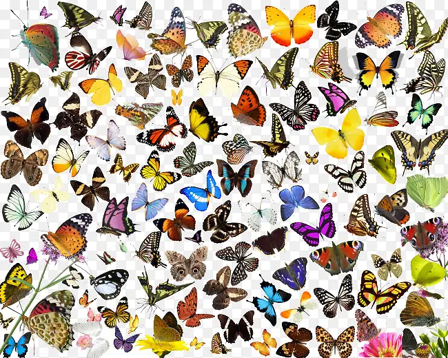 ������ȫ-������