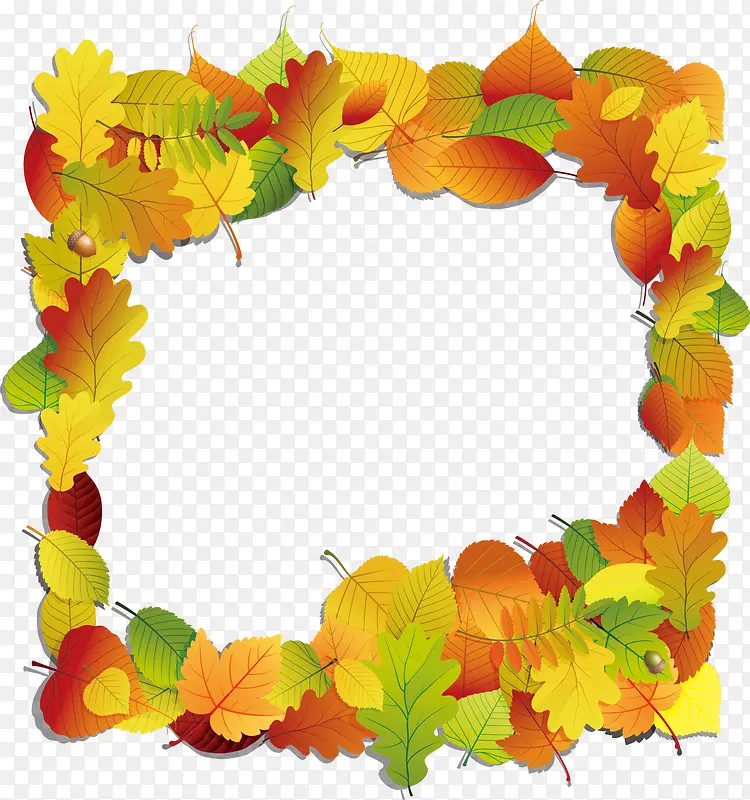 ��Ҷ�߿�-������