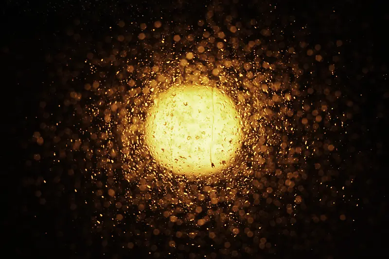 ��ι�㱳��-������