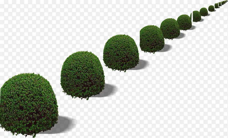 ������Ӱ��ɫ����·��̳-������