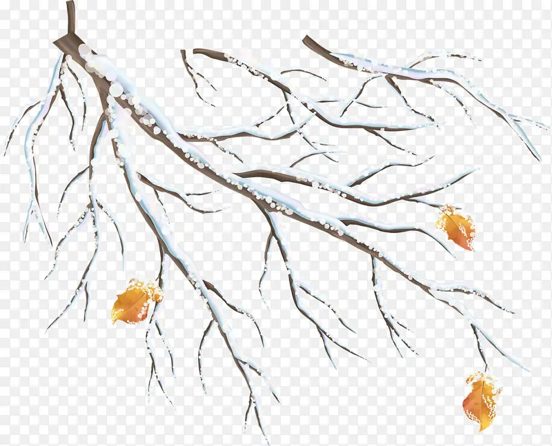 ѩ�����֦-������