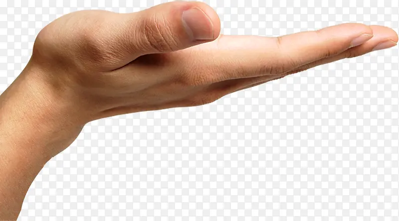 �������ƺǻ�����-������