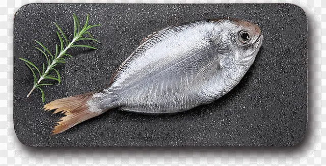 ����-������