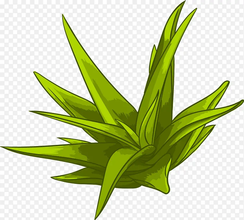 ��ɫ��ͨС��-������