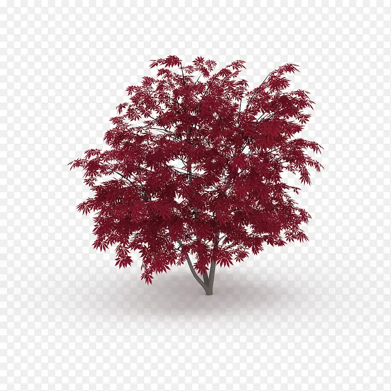 �ֲ��ɫҶ����֦��ľ-������