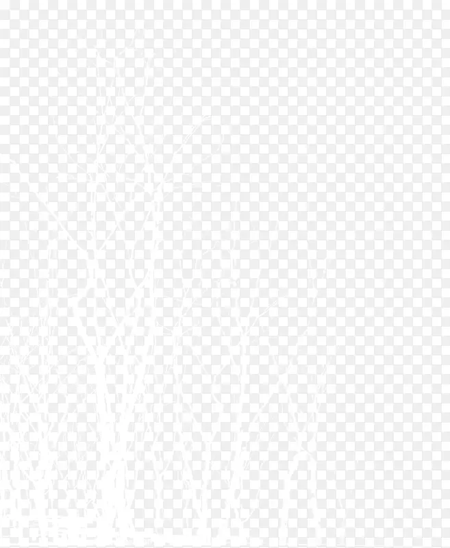 ��ɫ�ֲ����֦-������