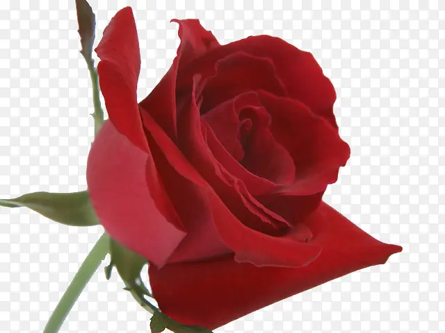 ��������»�-������