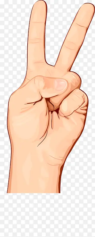 ��ͨ���ŵ���ָʸ��ͼ-������