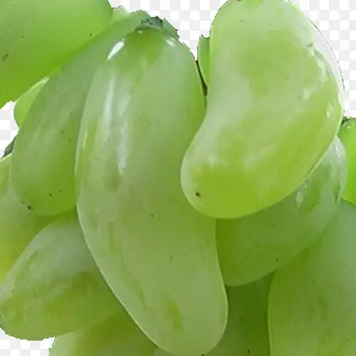 ����ָ��Ƥ����-������