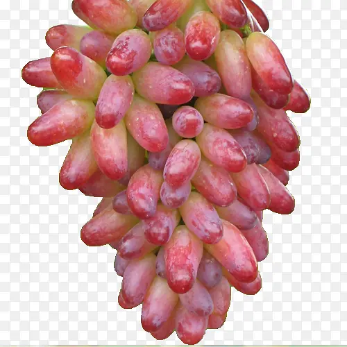 ����ָ��Ƥ����-������