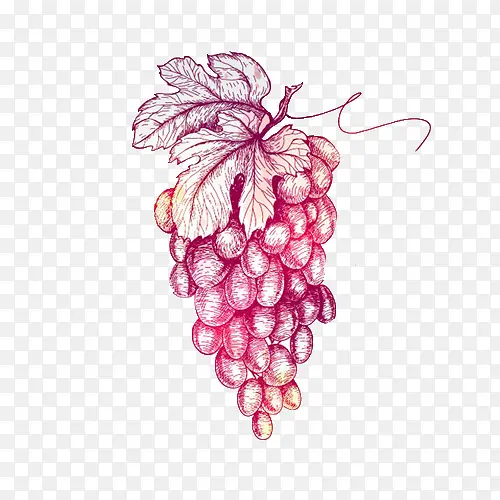 ��������Ƥ���Ѳ廭-������