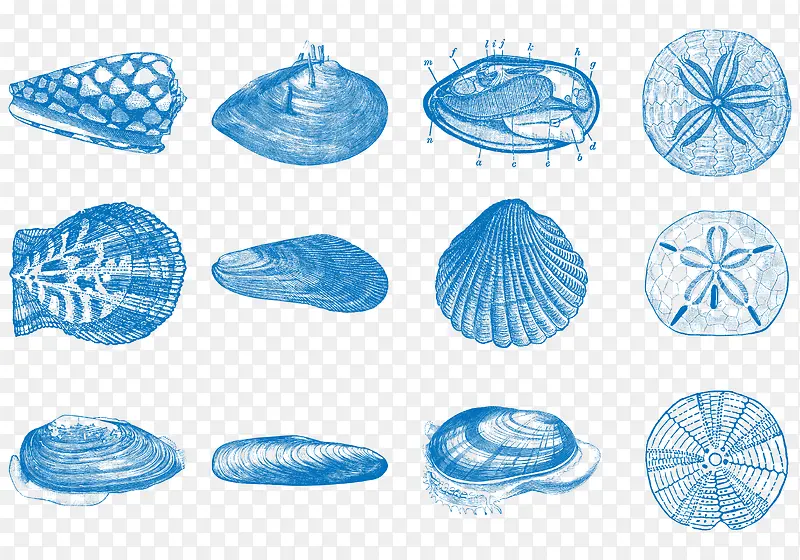 ��ɫ����С��������-������