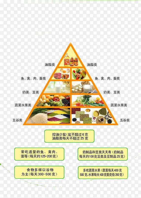 ÿ��Ӫ�������-������