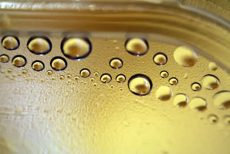 ¶�鱳��-������