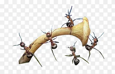 ��ҵ������Ԫ��-������