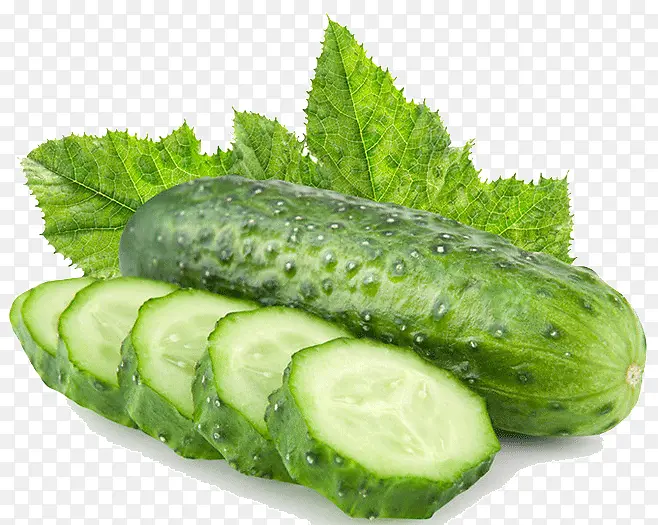 ��ɫʳƷ�ƹ�-������