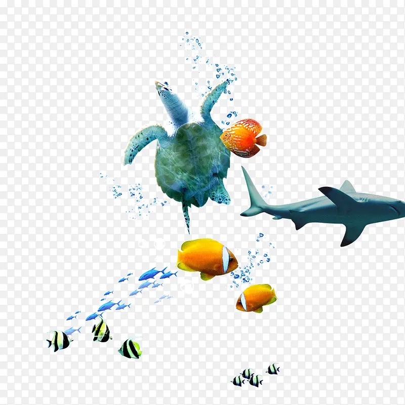 �����ز�-������