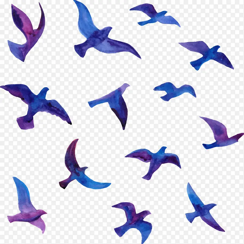 ˮ����Ⱥ-������