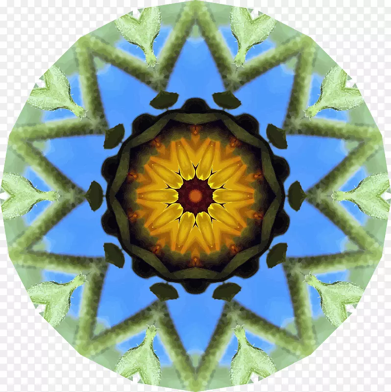 ��Ͳ�Գƻ��л���-���տ�-������