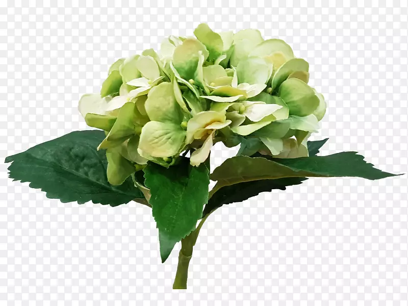 �л����ͻ���-����-������