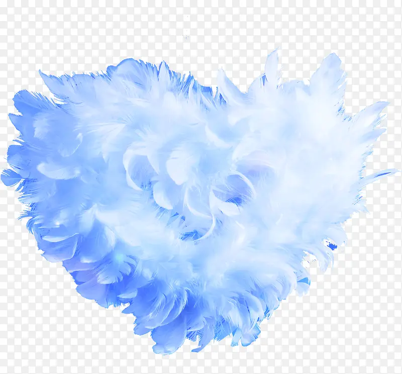 ��ë����ѡ����������-������