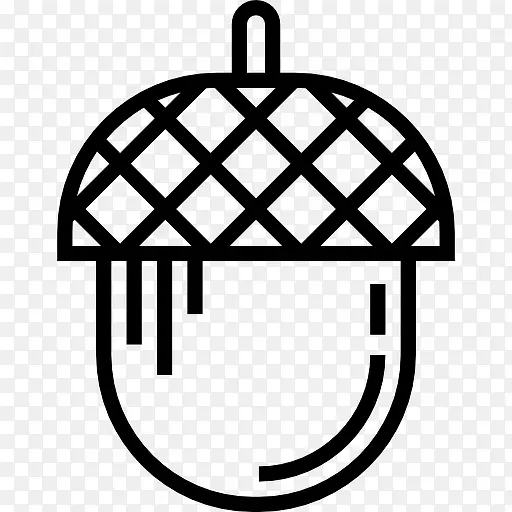 Acorn ͼ��-������