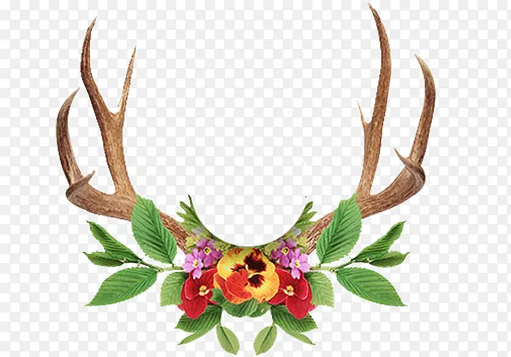 ��¹�ǵ���֦-������