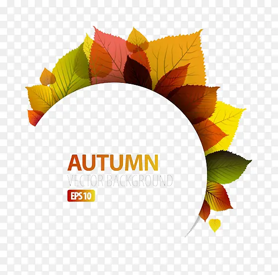 ������Ҷ�ز�-������