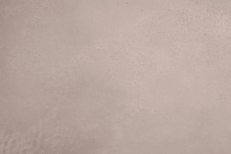 ���ɲ��Ʊ���-������