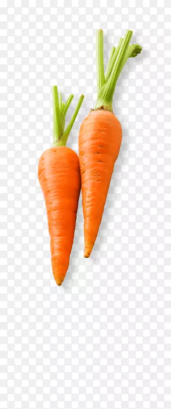 С���ܲ��߲�ʳƷ���ܲ�����-���ܲ�-������