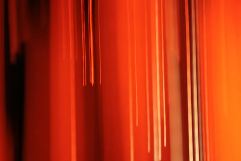 ��ɫѤ������-������