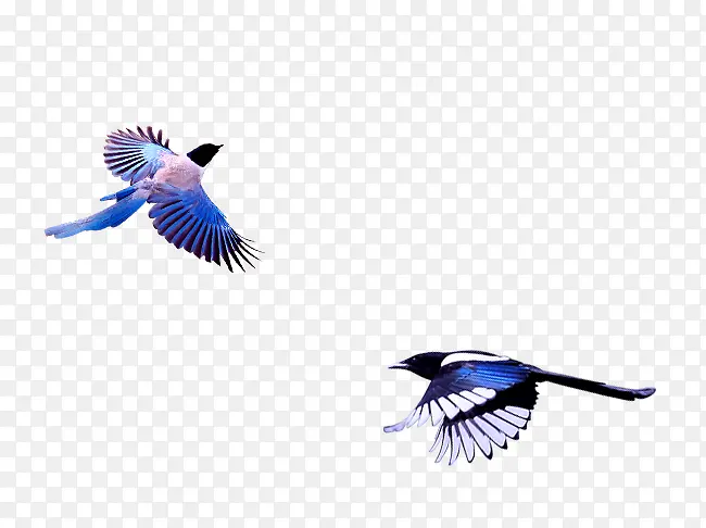 ϲȵ-������