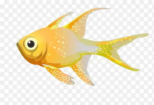 ��ͨ�ֻ������-������